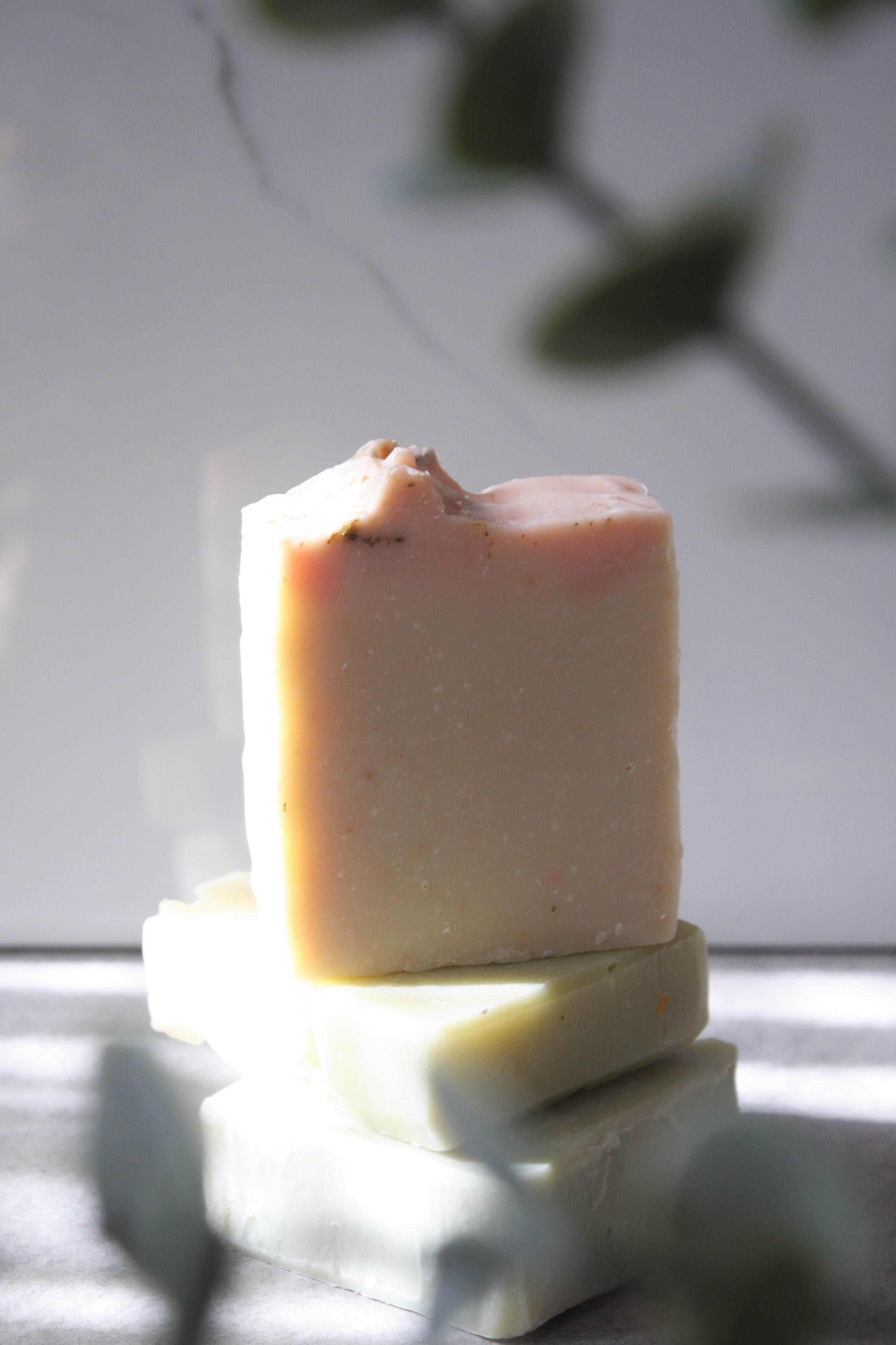 Fresh Eucalyptus | Cold Processed Bar Soap