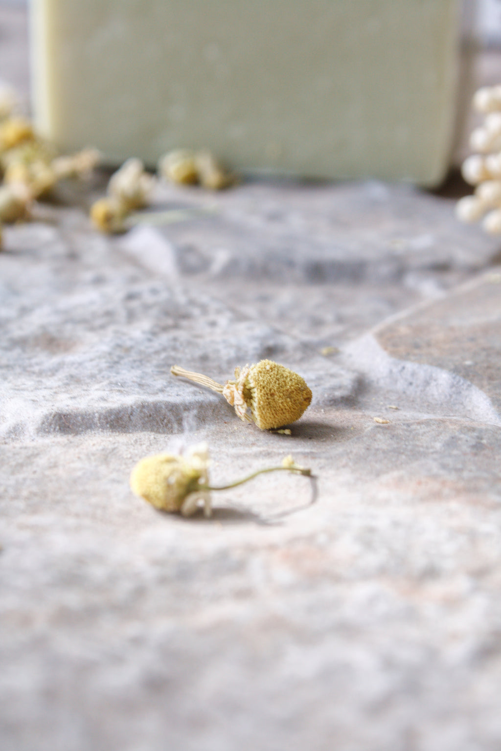 Calming Chamomile | Lavender & Chamomile Cold Processed Bar Soap