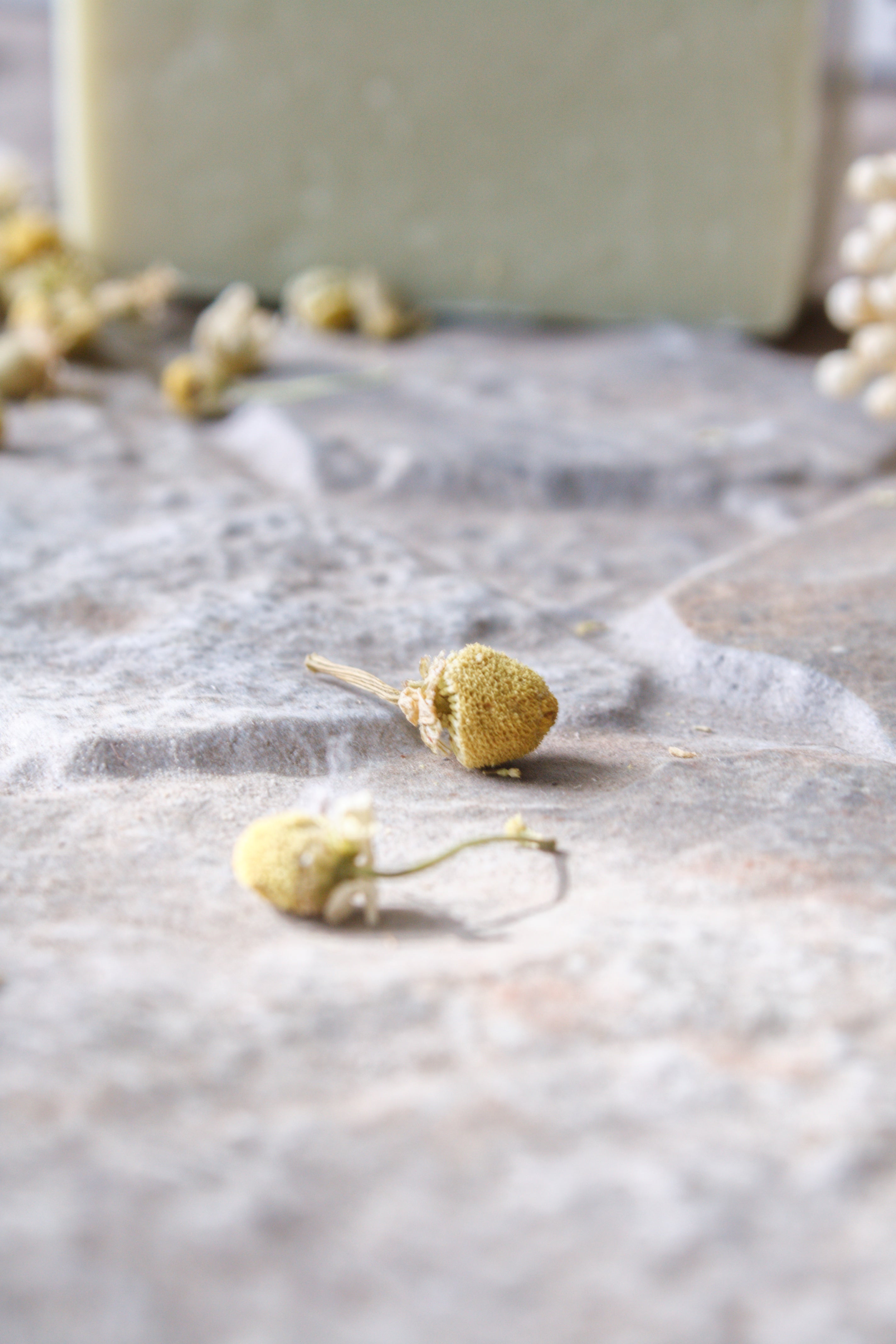 Calming Chamomile | Lavender & Chamomile Cold Processed Bar Soap