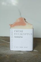 Fresh Eucalyptus | Cold Processed Bar Soap